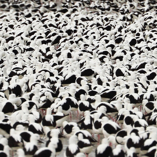 Stella Donnelly: Flood - Opaque Red