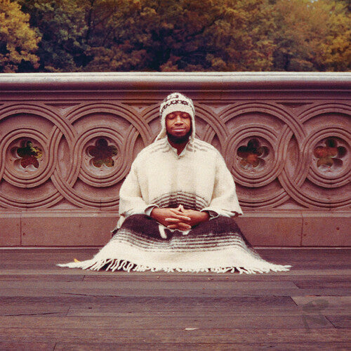 Laraaji: Segue To Infinity