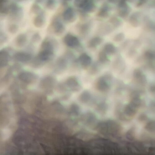 Carlos Cipa: Ourselves as we are