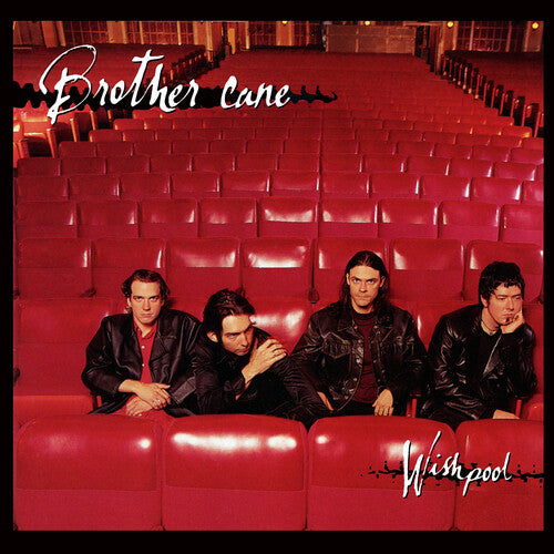 Brother Cane: Wishpool - Silver Cane