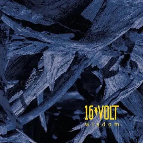 16Volt: Wisdom