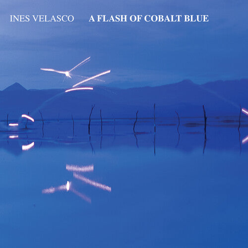 Ines Velasco: A Flash of Cobalt Blue