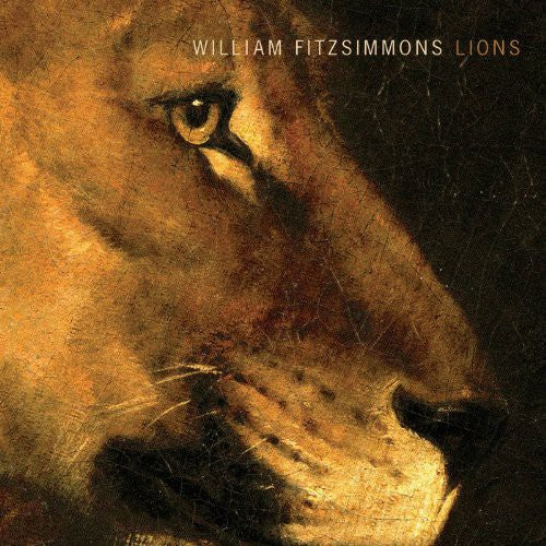 William Fitzsimmons: Lions