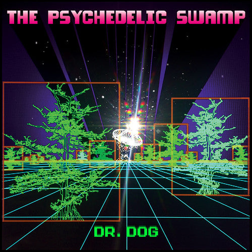 Dr. Dog: The Psychedelic Swamp