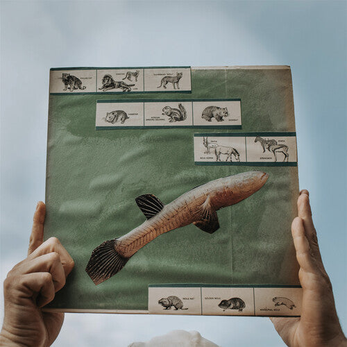 Cotton Jones: The River Strumming