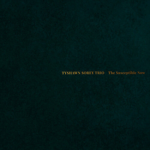 Tyshawn Sorey Trio: The Susceptible Now