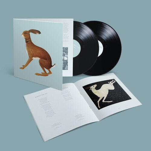 Vashti Bunyan: Lookaftering - Expanded