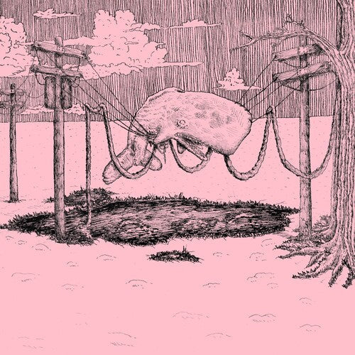 Home Is Where: The Whaler - White