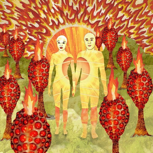 Of Montreal: The Sunlandic Twins - 20th Anniversary Edition