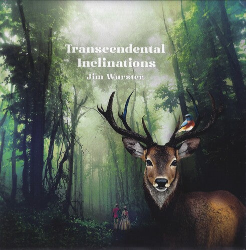 Jim Wurster: Transcendental Inclinations
