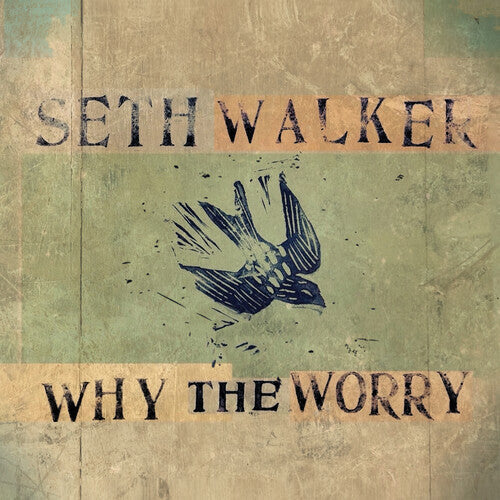 Seth Walker: WHY THE WORRY