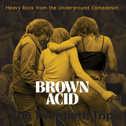 Various Artists: Brown Acid - The Twentieth Trip (Various Artists)