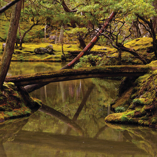 Rebecca Foon: Reverie